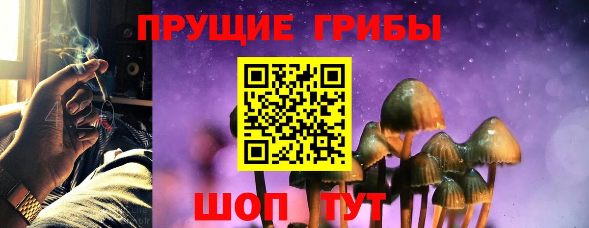 Галлюциногенные грибы Magic Shrooms  Вход с VPN  Новоуральск 